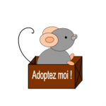 Adoption