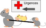 Urgence